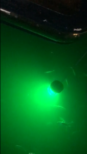 Kalamar Lambasi Meslighting